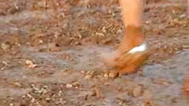 دعوا گربه